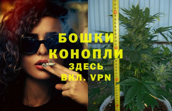 PSILOCYBIN Беломорск