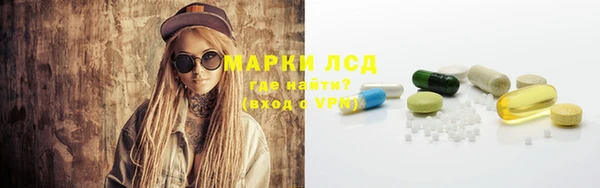 PSILOCYBIN Беломорск