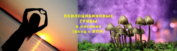 PSILOCYBIN Беломорск
