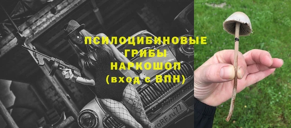 PSILOCYBIN Беломорск